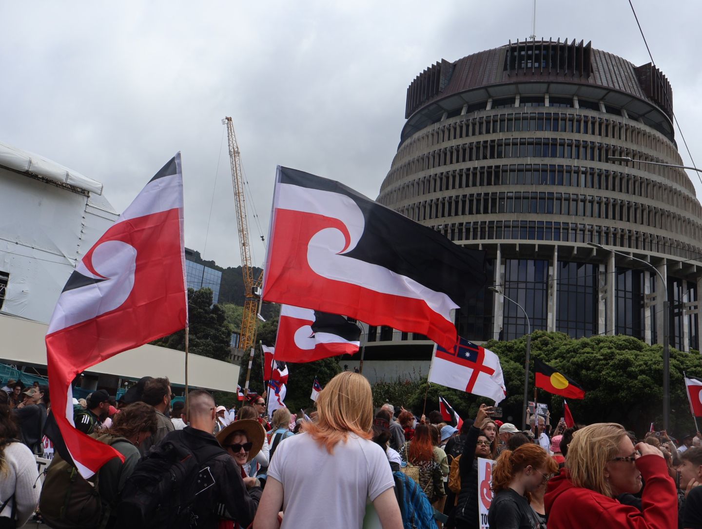hikoi-image-3